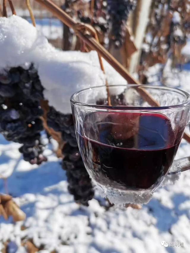 集安北冰红葡萄酒