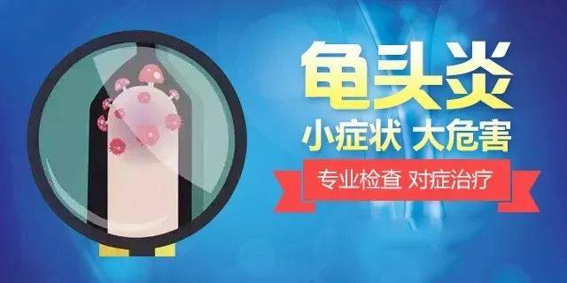 搜狐网