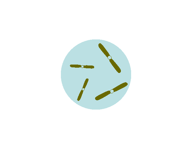 618_480gif 动态图 动图