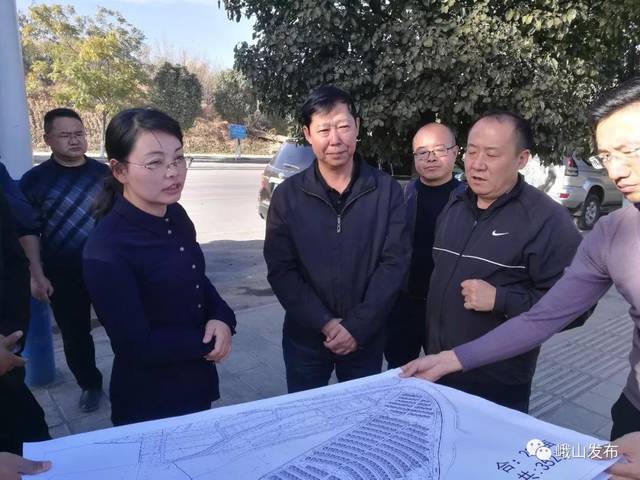 张燕华与县委副书记,代理县长王鹏,县领导普家跃,张继,施仲彪,以及县