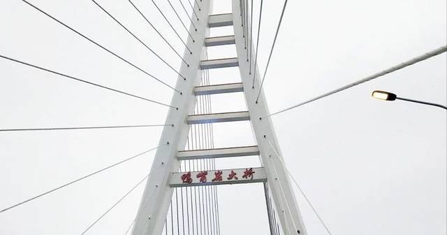 鸭嘴岩大桥今天正式通车!