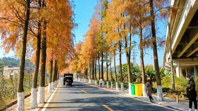 去最美鄉村公路