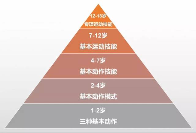 【运动发展金字塔】那低于4岁的孩子是不是就可以不运动或者没什么