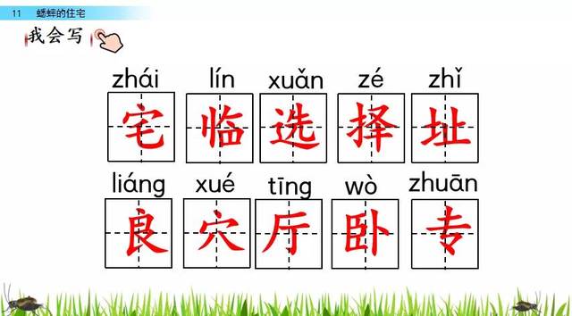 部編版四年級上冊語文第11課《蟋蟀的住宅》圖文講解 知識點梳理