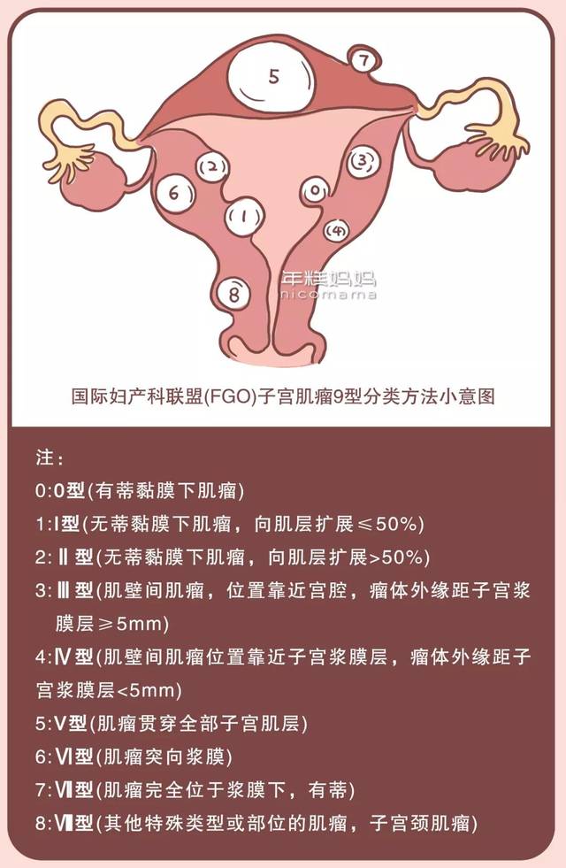 杨千嬅赌命生娃:医生扒开我的子宫肌瘤,才找到孩子的头