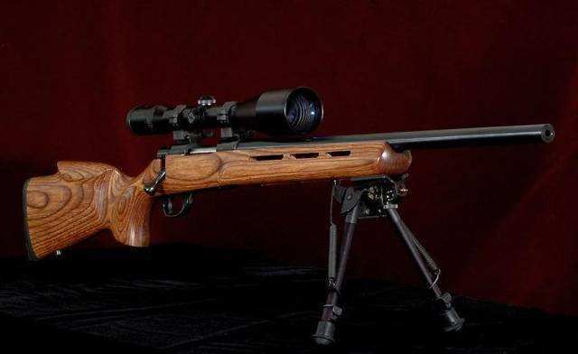 枪托进化论:从奇形怪状的木质枪托,到新型合成材料_手机搜狐网