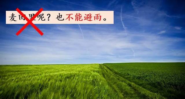 部编版四年级语文上册第8课《蝴蝶的家》图文讲解 知识点梳理