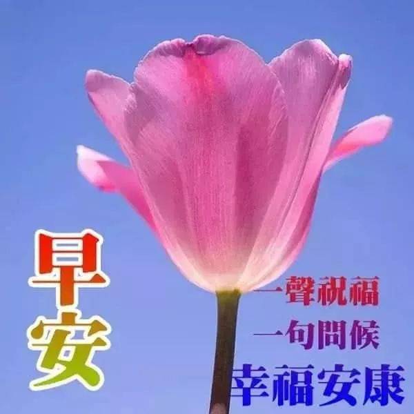 週末問候大家早上好祝福語錄圖片 特漂亮早上好圖片表情動態帶字