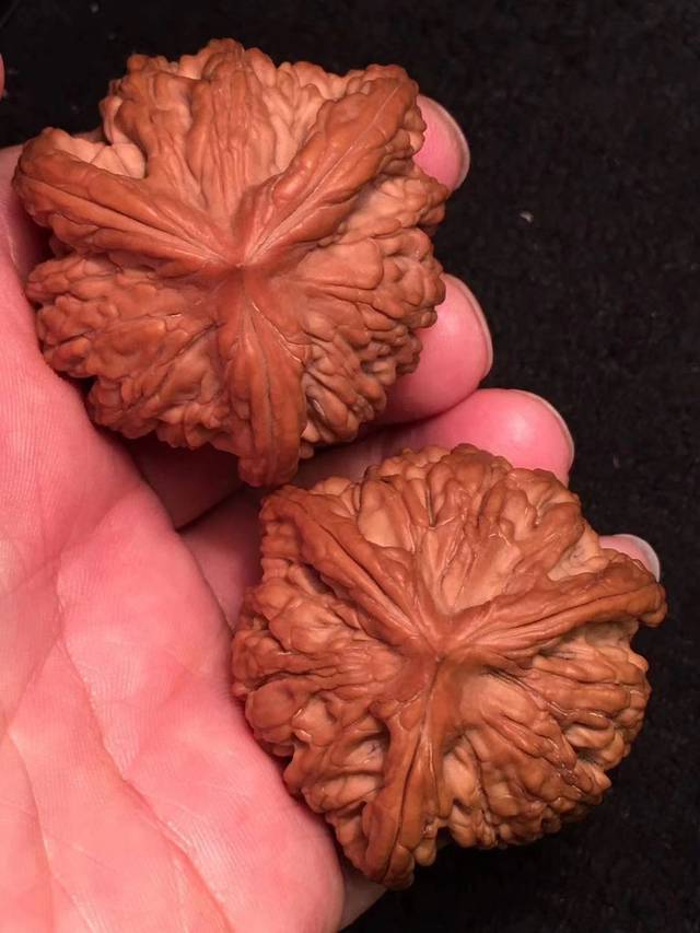 文玩核桃到底能不能上油，先了解这些再决定！_搜狐网