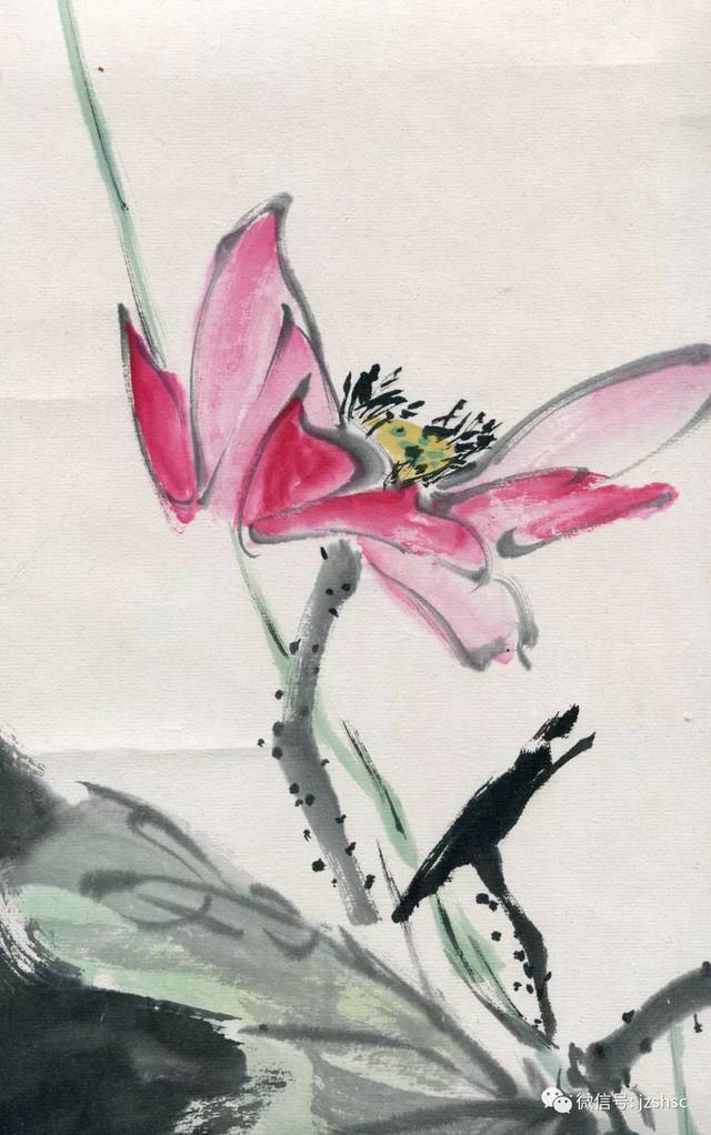 雪濤 花卉 今日大雪，北方盼雪，深圳晒花！半城花开，“粉”喜欢，绝绝“紫”