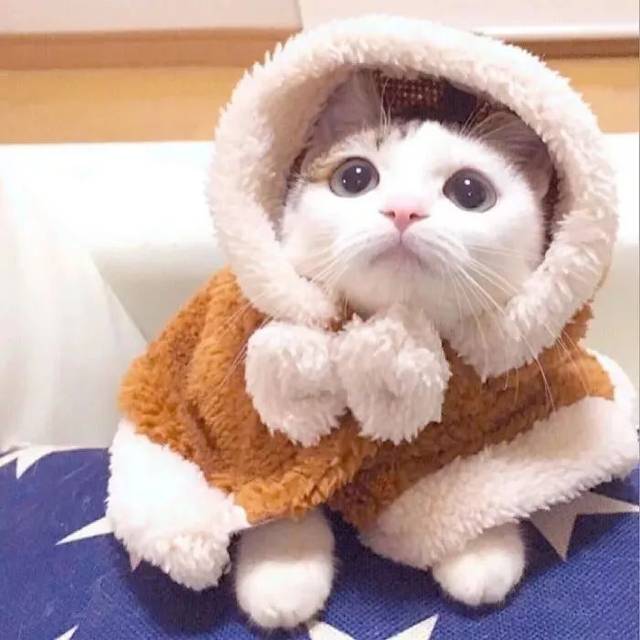 抖音最火的100张微信头像,都在这里!