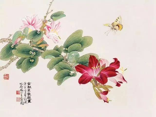 一组当代工笔花鸟女状元的作品，绝美！_搜狐网