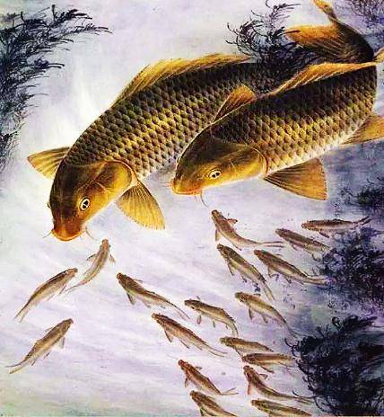 哪些月份出生的人低调,财不外露,2020年要暴富