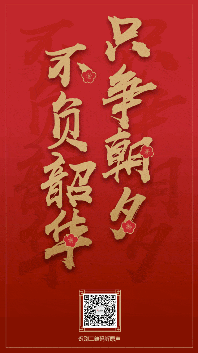 聆听中国力量！国家主席习近平二〇二〇年新年贺词金句_搜狐网
