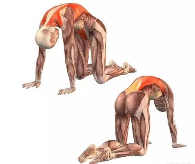 10 个最佳的运动后拉伸动作,赶紧学起来