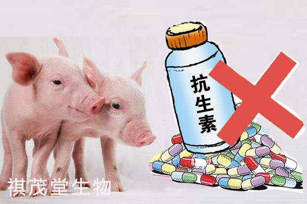 肉,奶等产品,加大"生态高效养殖"力度,解决抗生素残留等导致动物性