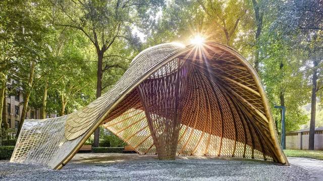 秘境花园丨2020第三届"北林国际花园建造节"设计竞赛方案征集