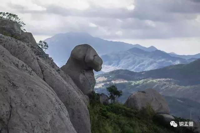 潮汕网红"灵牛"被送往的金狮寺原来还有这样的传奇!