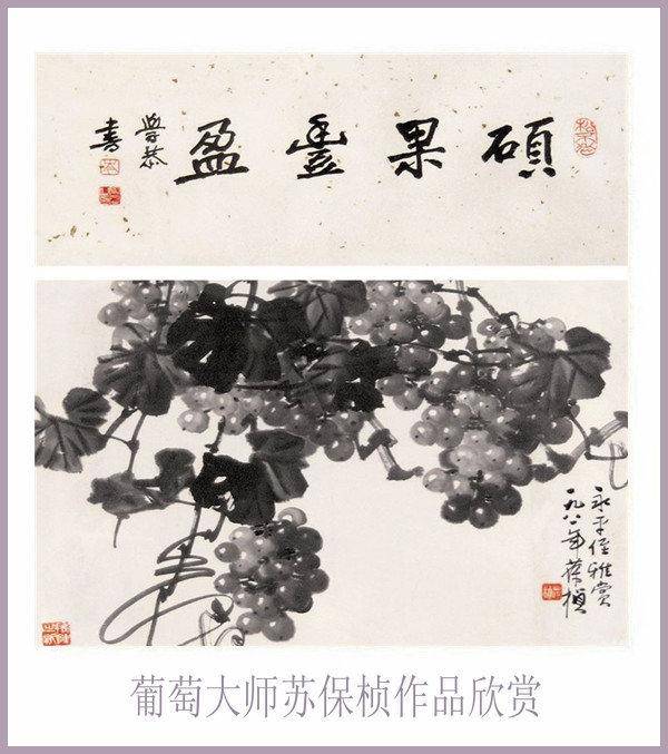 硕果丰盈---- 葡萄大师苏保桢作品欣赏_搜狐网