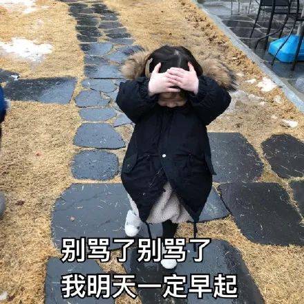 金雪表情包 | 天气再冷也不能放弃学习