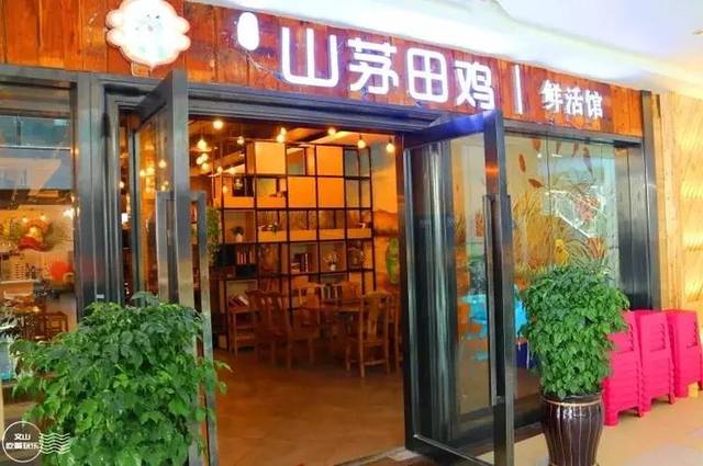 店里宽敞明亮,随处可见的  田鸡涂鸦,是【山茅田鸡鲜活馆】的骄傲