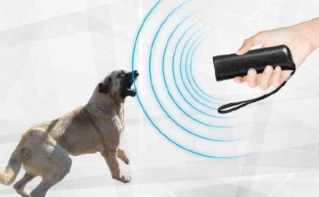 云南3人用超声波驱狗器盗窃80余只狗,已被警方刑拘