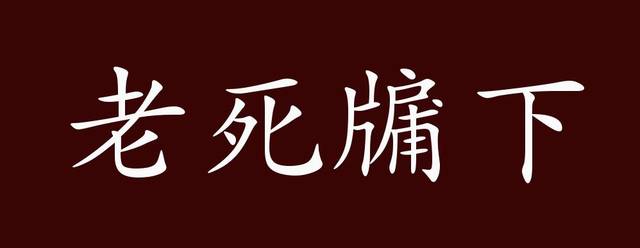 老死牖下的出处,释义,典故,近反义词及例句用法