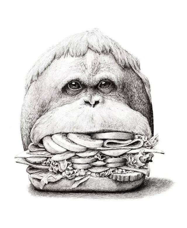 这样脑洞大开的创意素描作品，也许哪天真能走进动画片里去_搜狐网