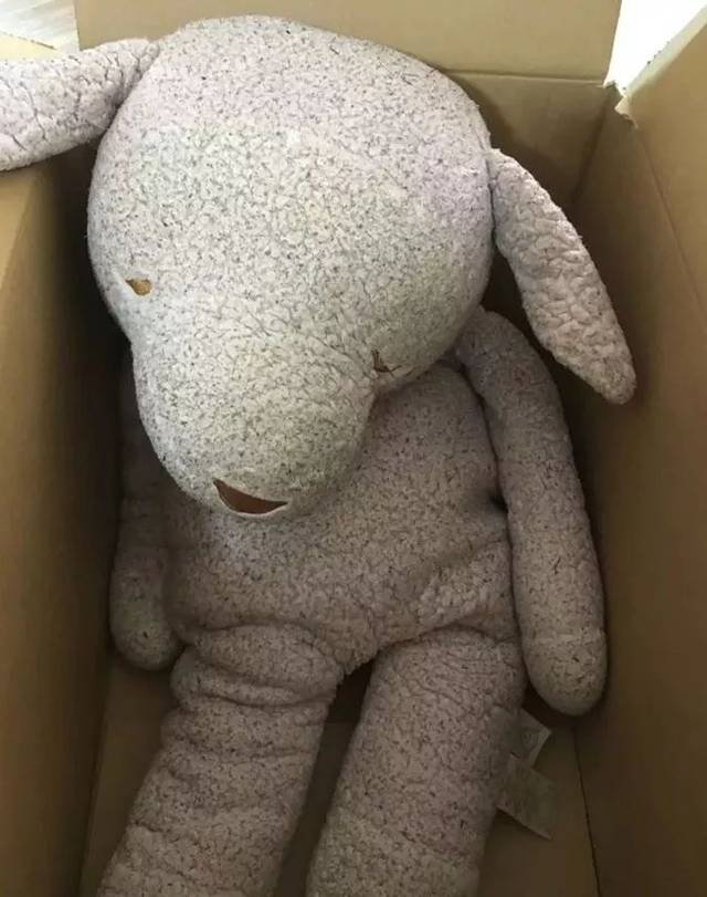 毛绒玩具医院丨布娃娃の乐园