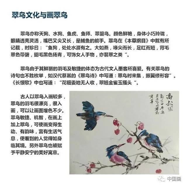 国画教程：写意禽鸟之翠鸟的画法，书画爱好者必备_搜狐网