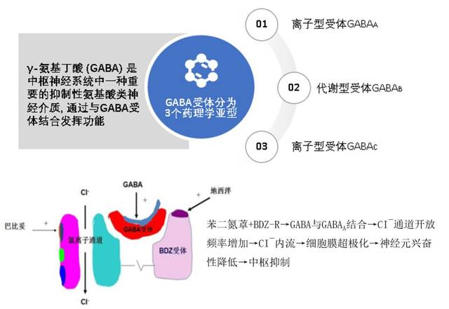 广义上讲,bzds属于苯二氮受体激动剂,但它是通过升高抑制性神经递质