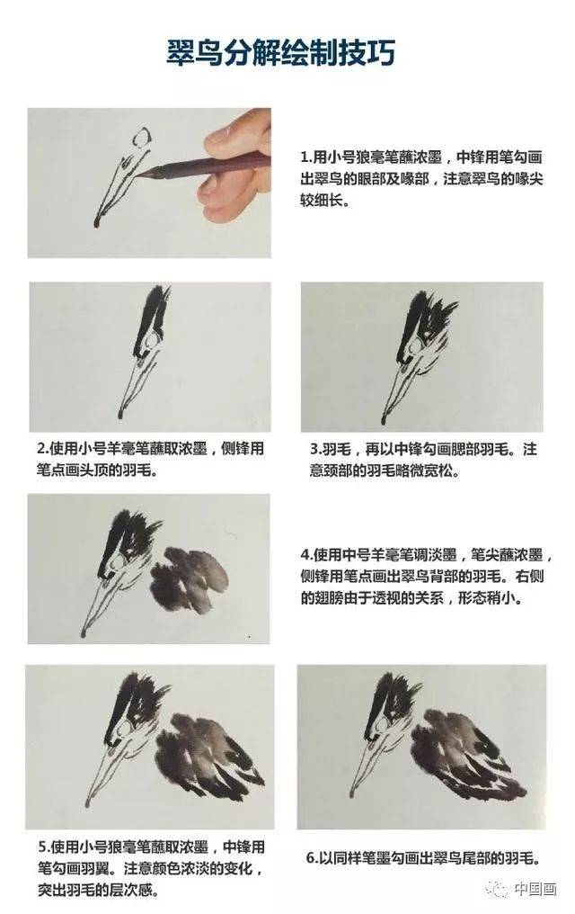 国画教程：写意禽鸟之翠鸟的画法，书画爱好者必备_搜狐网