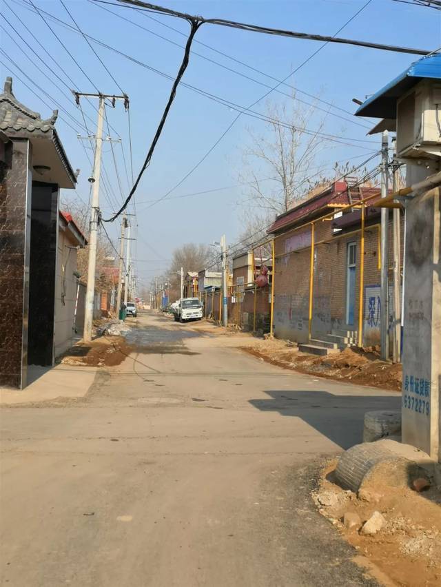 徐水曲城村这棵酸枣树好粗,一个人都搂不过来,可能有上千年了!