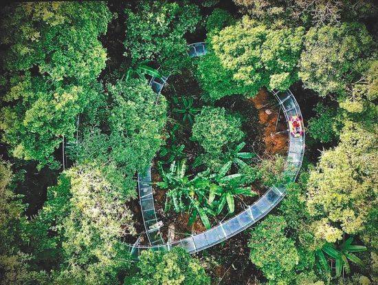 琼中百花岭热带雨林文化旅游区供图