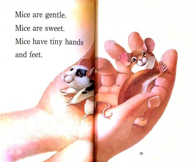 【繪本時間】《mice are nice》老鼠很好