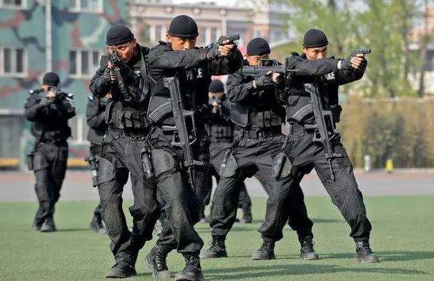 金麟世嘉影业与知名导演龙中华携手打造缉毒院线毒海风暴