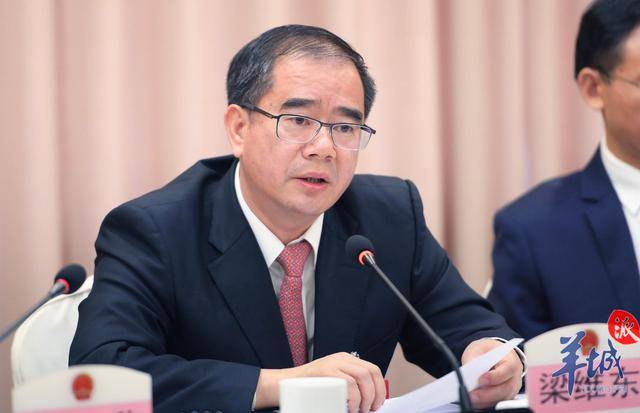 东莞市委书记梁维东:初步确定在新区威远岛建设大湾区大学_手机搜狐网