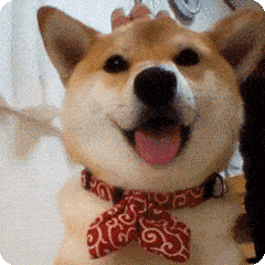 微信狗头表情包动图图片