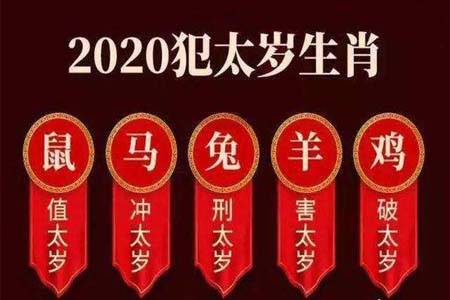 2020年犯太歲的生肖,有哪些方法可以轉運?_手機搜狐網