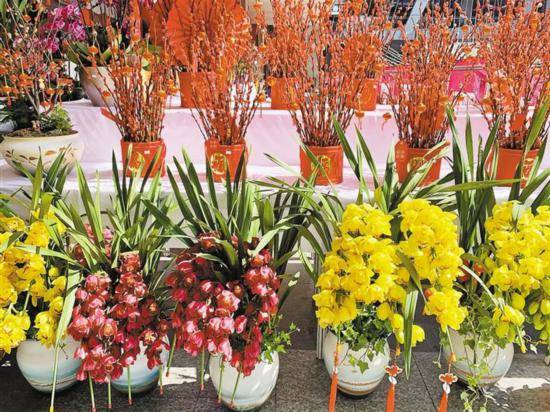 逛花市送你一份春节买花指南