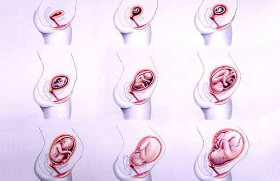 胎儿入盆时,女性有感觉吗?到了孕晚期希望你会出现这种感觉!