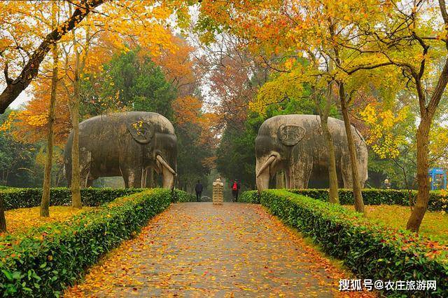 南京旅游别总去夫子庙,这5个景点更值得一去,你都去过吗
