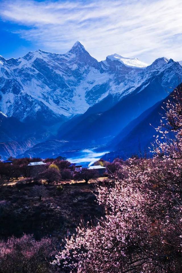 西藏林芝桃花来了一生一定要去一次西藏看这个星球最美的桃花盛宴