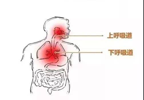 【新型肺炎江西有确诊病例！病源已找到！】不信谣传谣，务必做好防护！（最新发布）
