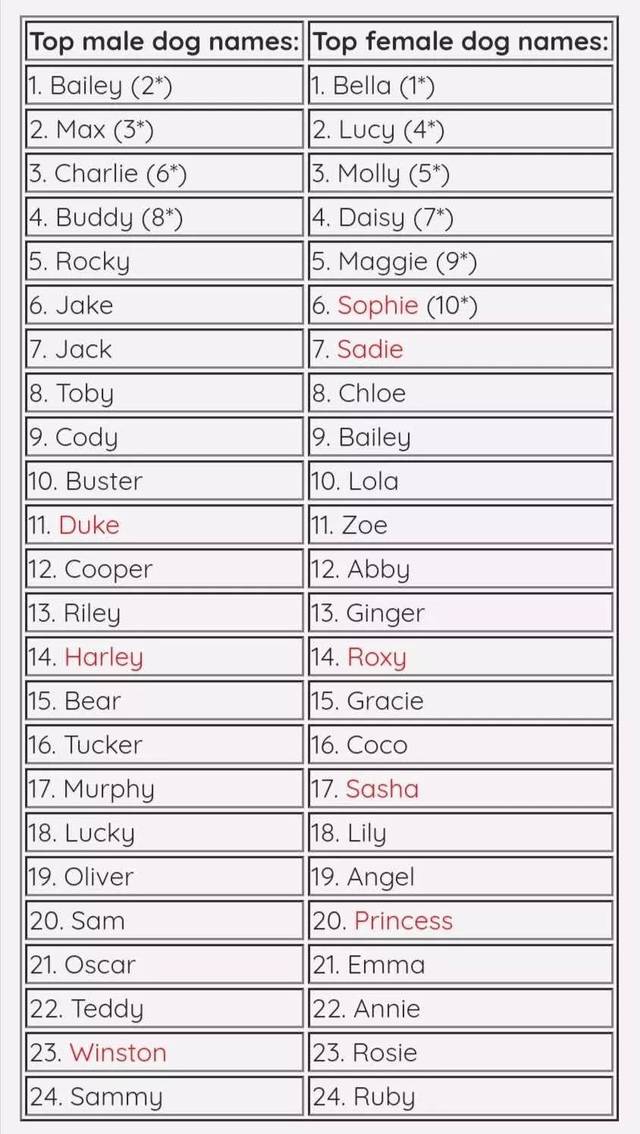 Fido是不是“法斗”？_fido的中文狗名意思 川雅网