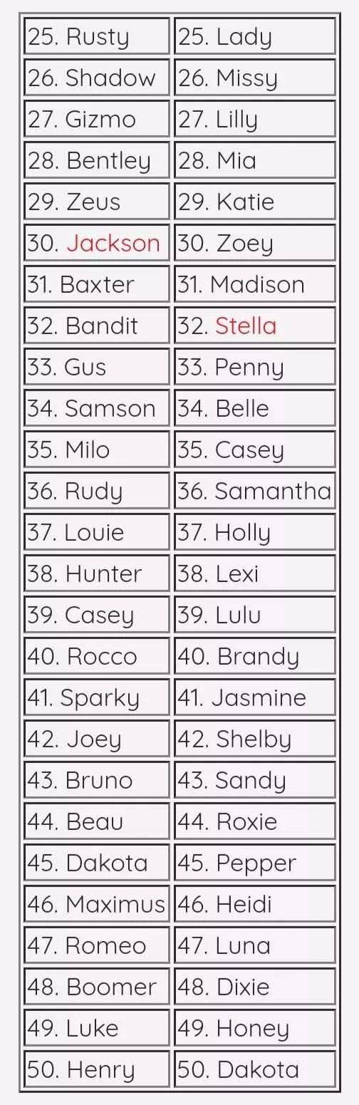 Fido是不是“法斗”？_fido的中文狗名意思 川雅网