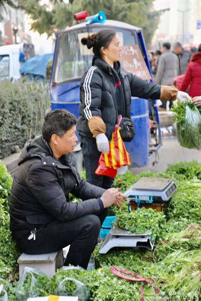 猪年最后一个集市,摊位延绵一公里,洛阳延秋集市众生相