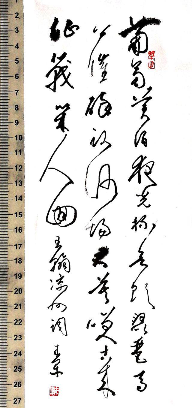 书法硬笔草书：王翰《凉州词》——葡萄美酒夜光杯_搜狐网