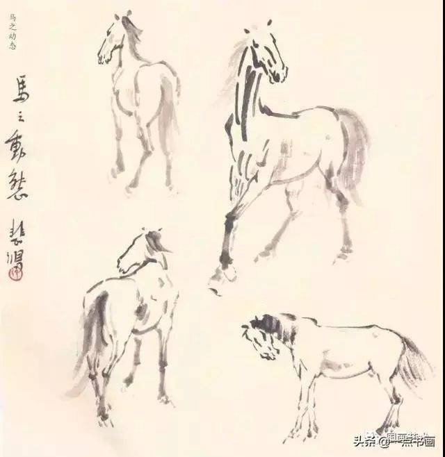 徐悲鸿的马简笔画图片