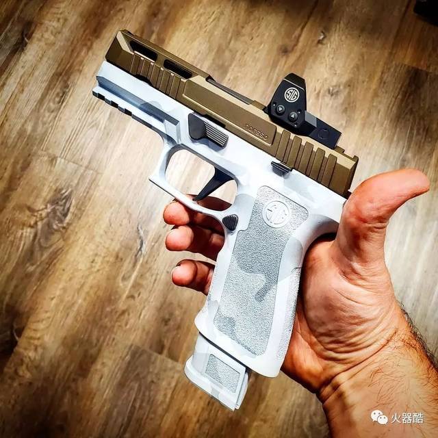 【它的美您get到了吗?】西格绍尔公司p320系列手枪图集